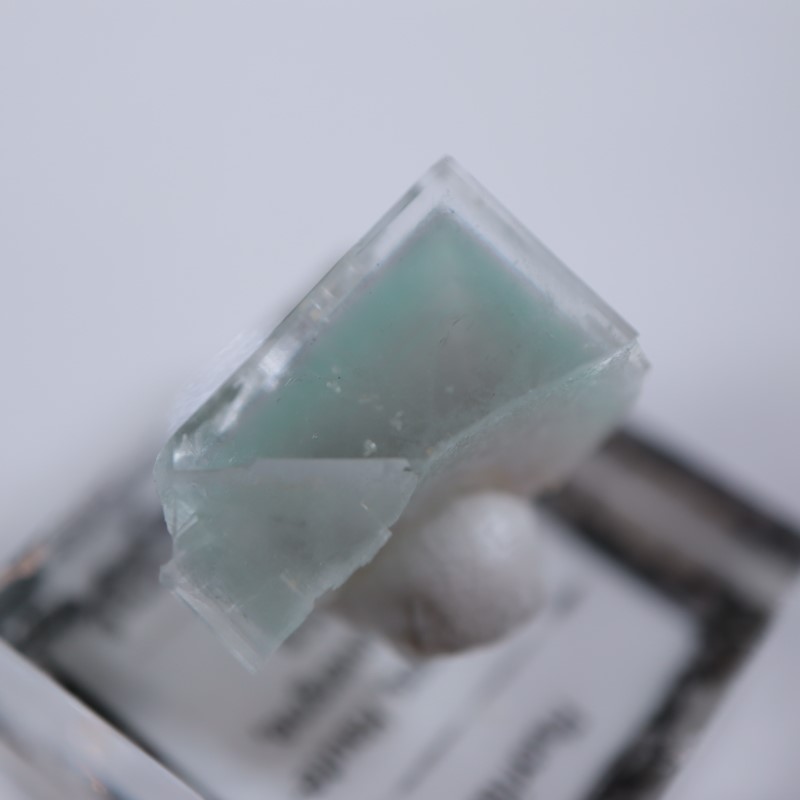 �ե�󥹻����ե����饤��