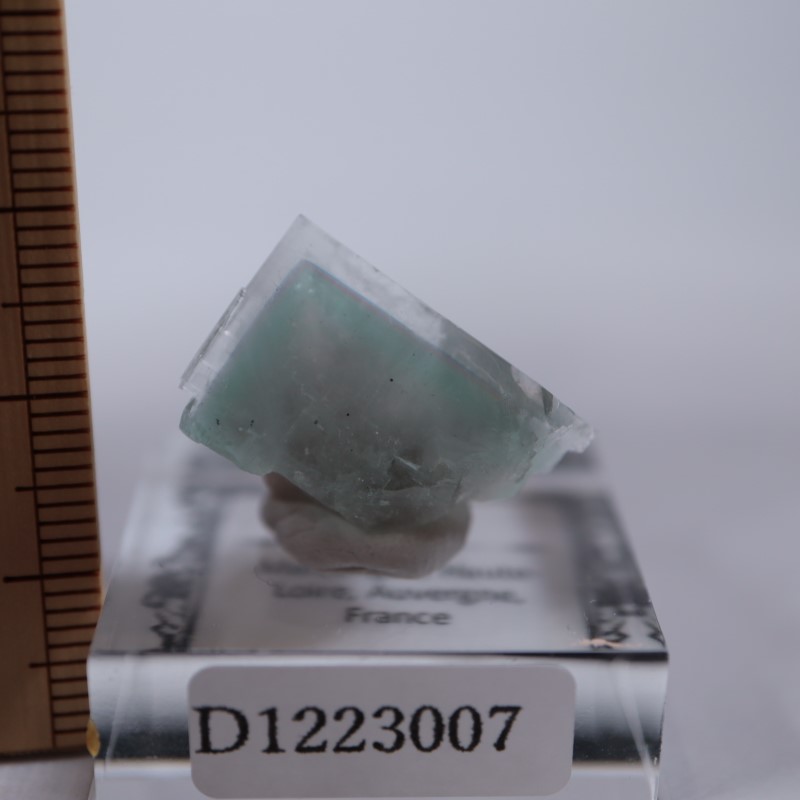 �ե�󥹻����ե����饤��