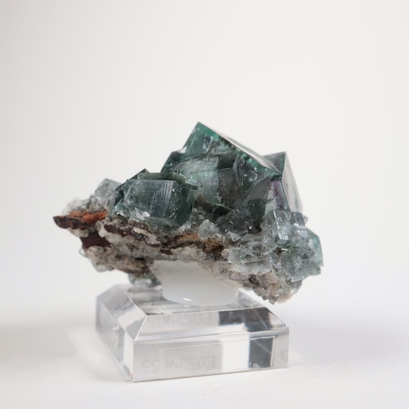 Fairy Holes Pocket 蛍石 | 鉱物標本,ハ行,フローライト/蛍石,フロー