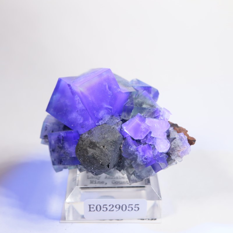 7_000000007578.jpg?1716981967