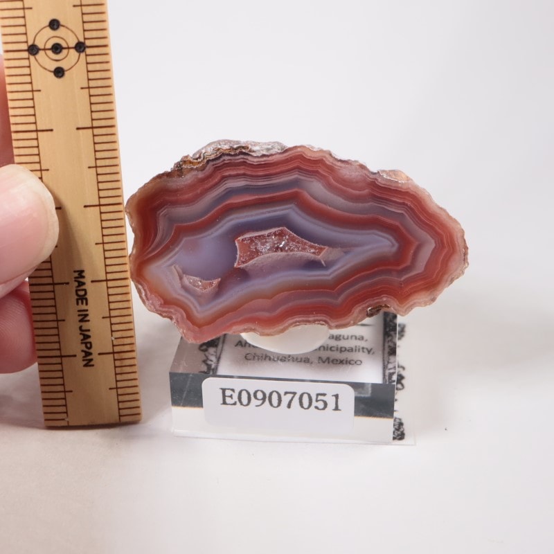 【コレクターズアイテム】ラグーナアゲート コレクターズアイテム】ラグーナアゲート コレクターズアイテム