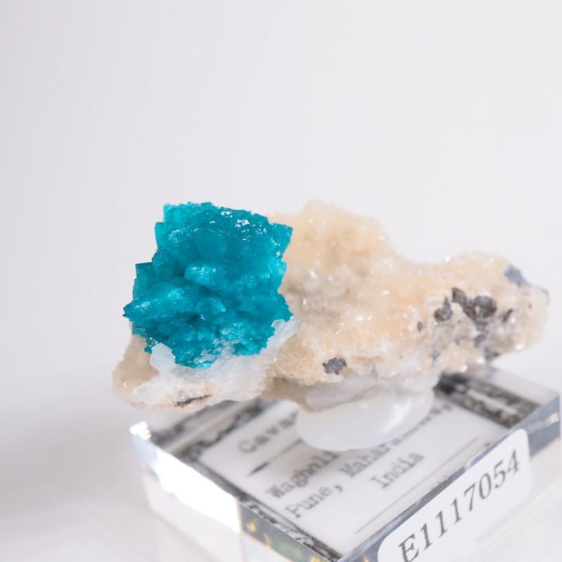 ����ɻ� ���Х󥵥���