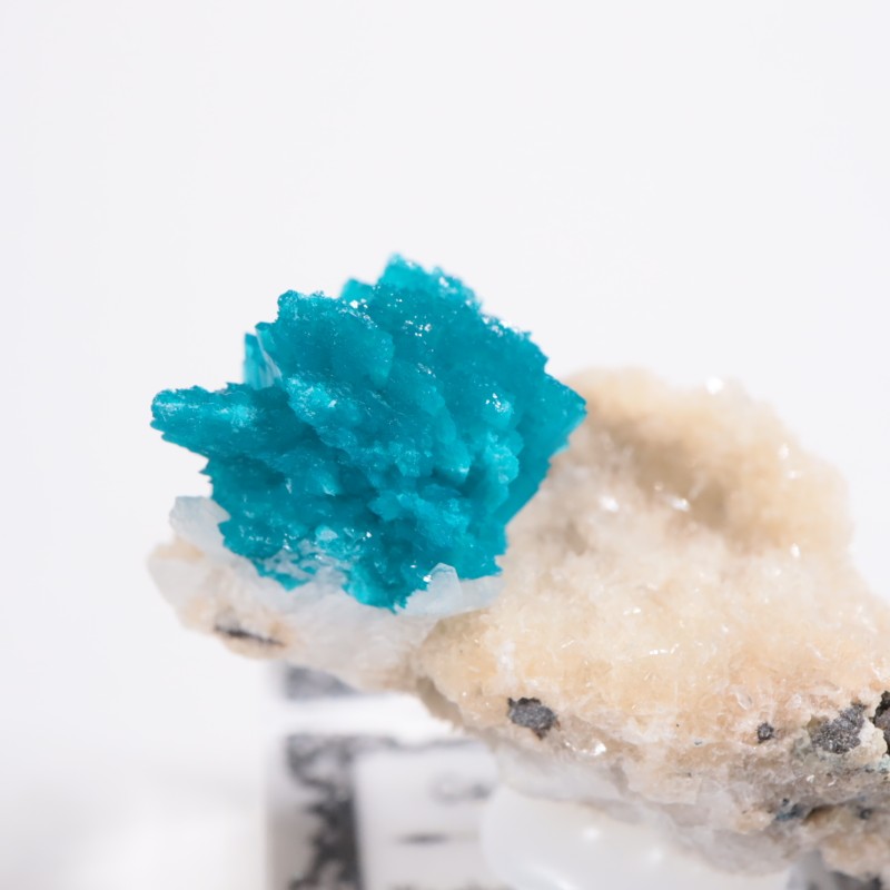 ����ɻ� ���Х󥵥���