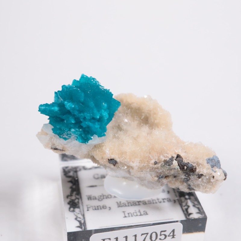 ����ɻ� ���Х󥵥���