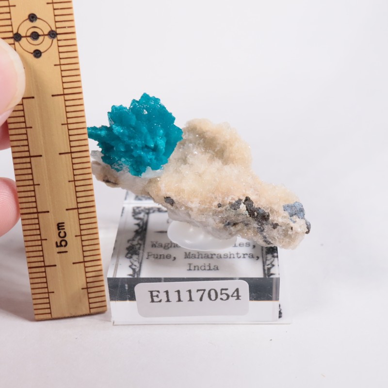 ����ɻ� ���Х󥵥���