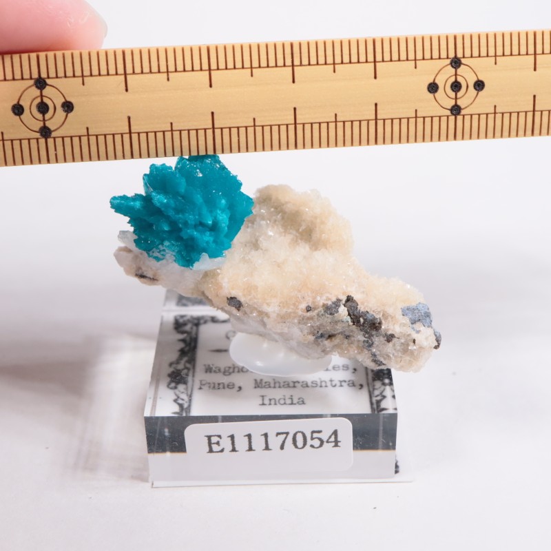 ����ɻ� ���Х󥵥���