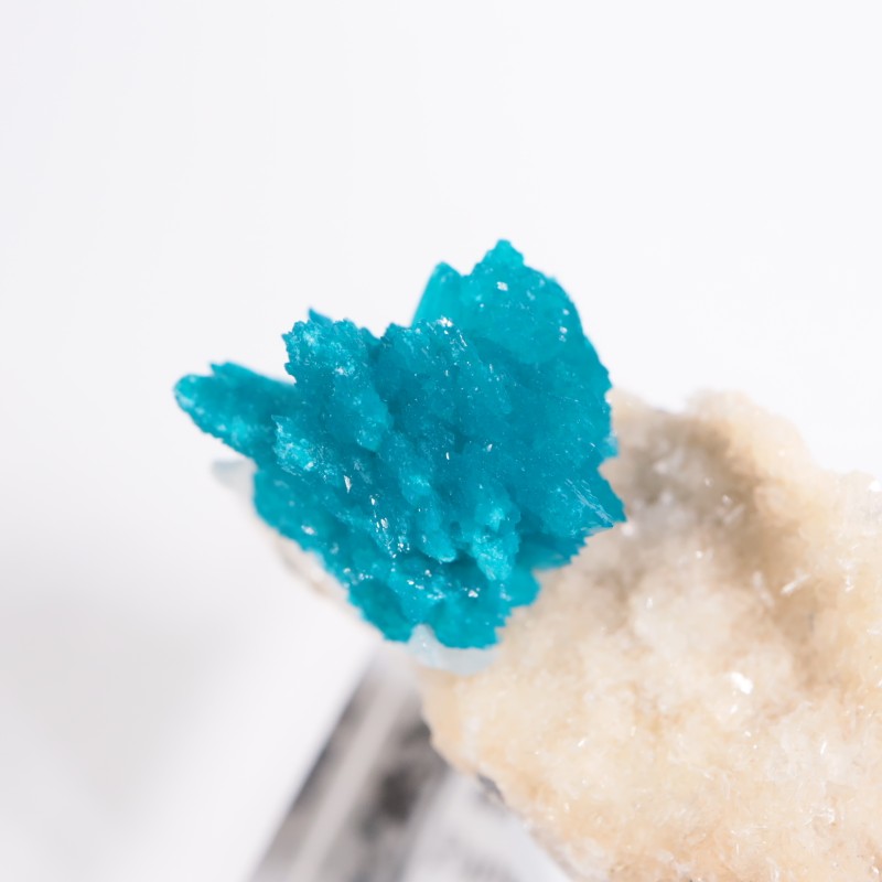 ����ɻ� ���Х󥵥���