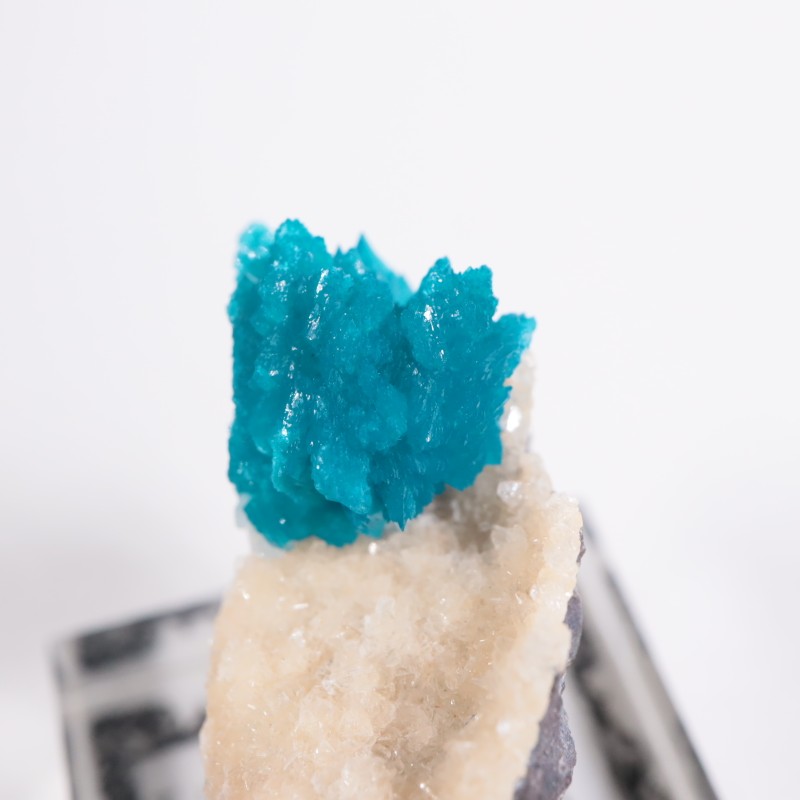 ����ɻ� ���Х󥵥���