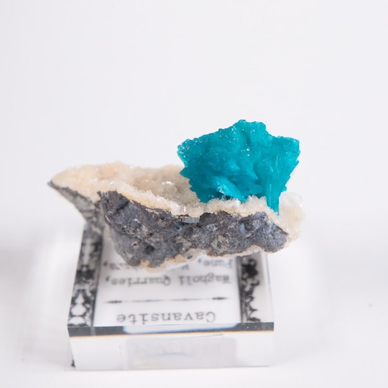 ����ɻ� ���Х󥵥���