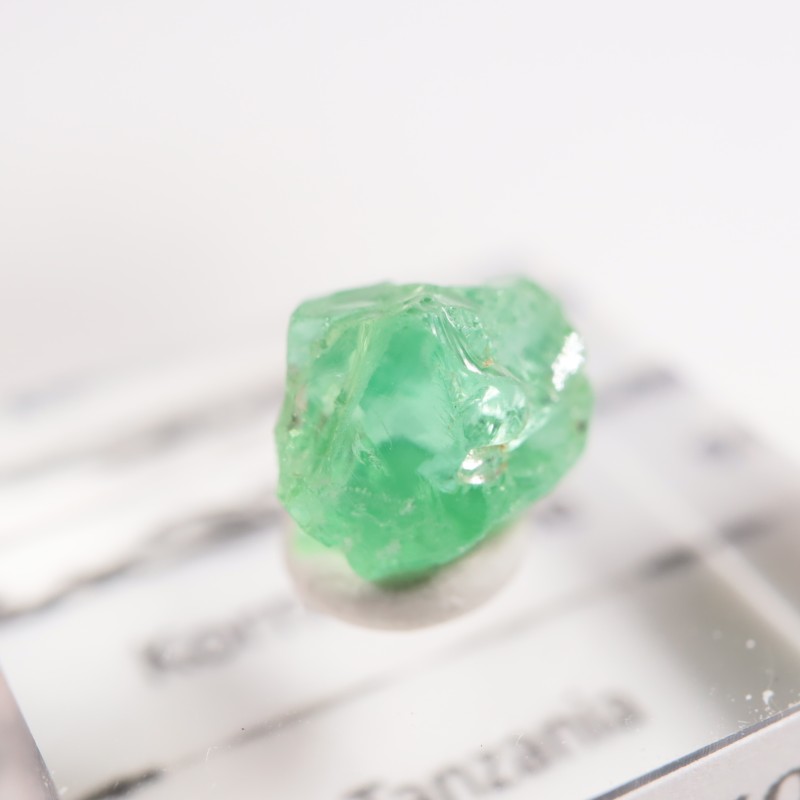 ���󥶥˥��� �����ͥ�ԥ�