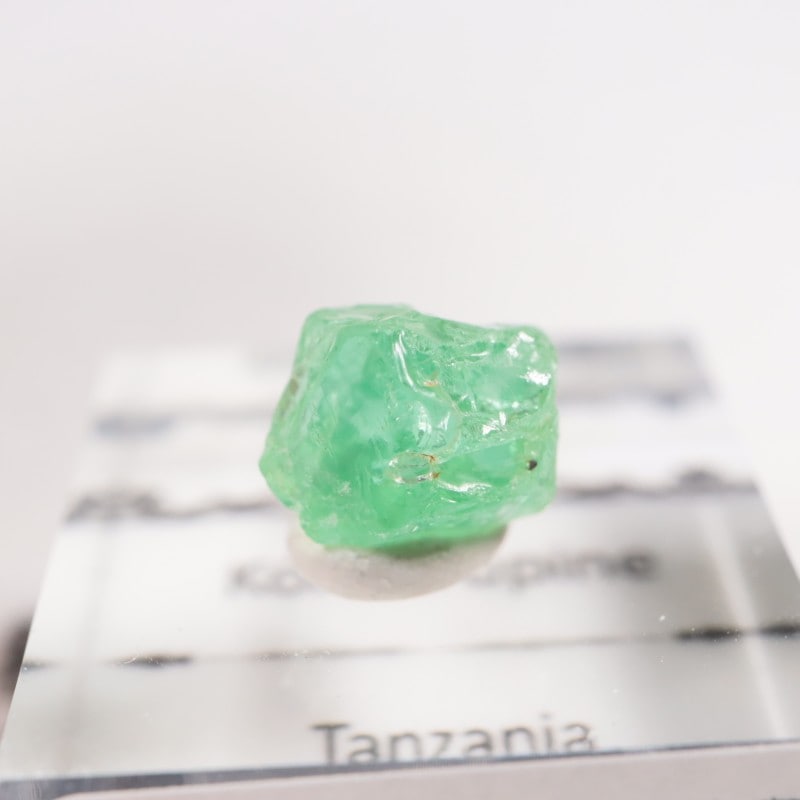 ���󥶥˥��� �����ͥ�ԥ�