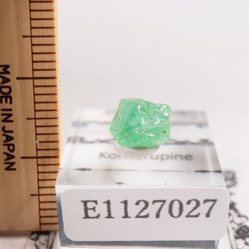 ���󥶥˥��� �����ͥ�ԥ�