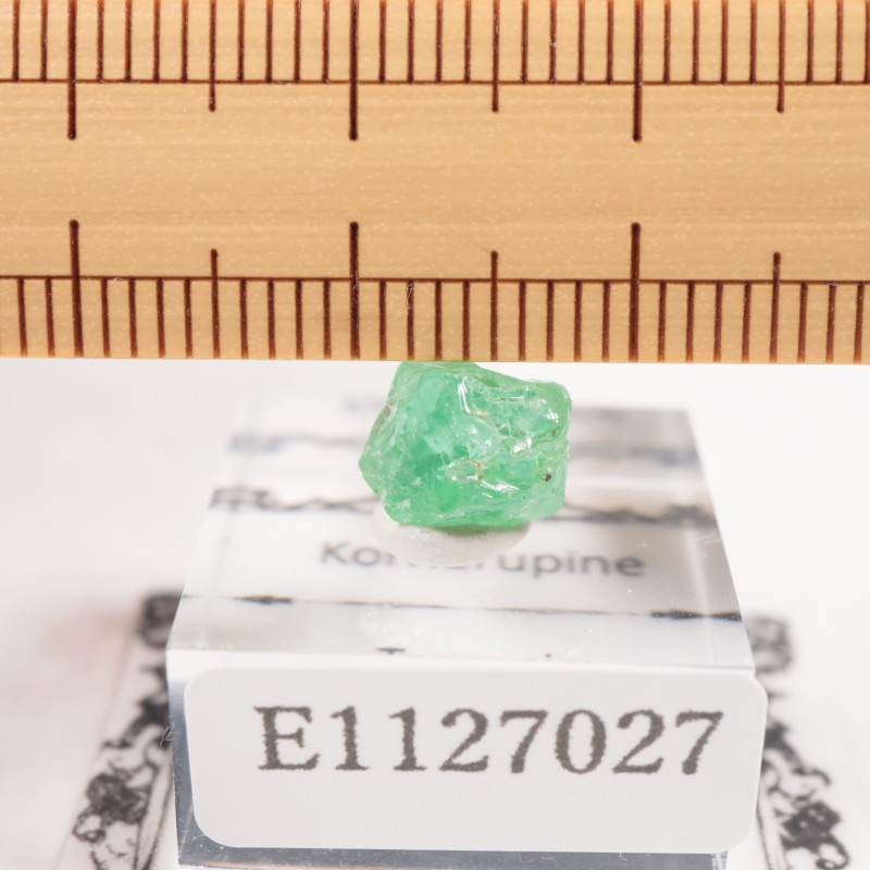 ���󥶥˥��� �����ͥ�ԥ�