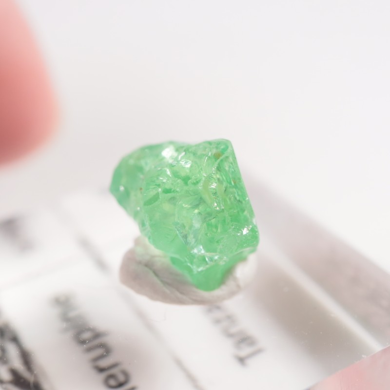 ���󥶥˥��� �����ͥ�ԥ�