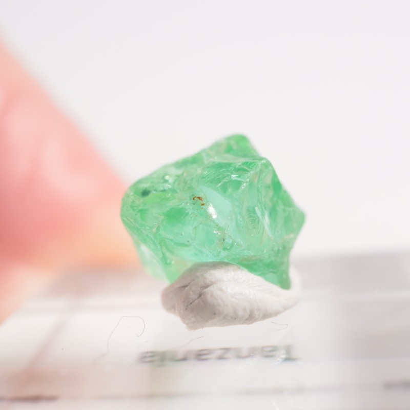 ���󥶥˥��� �����ͥ�ԥ�