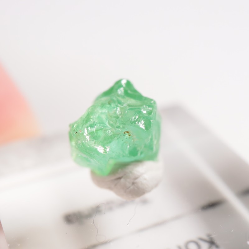 ���󥶥˥��� �����ͥ�ԥ�