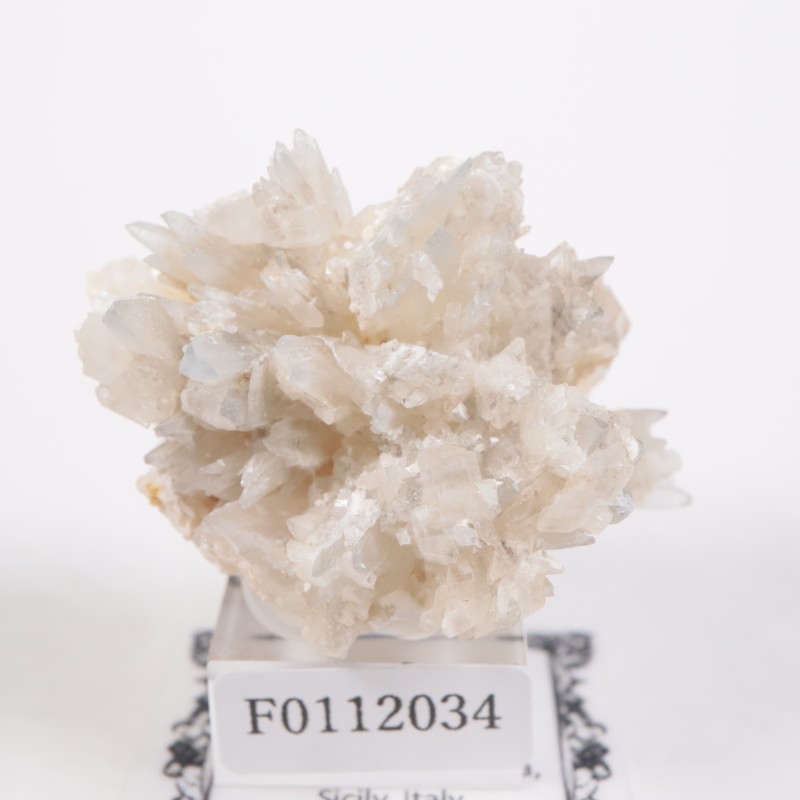 �����ꥢ�� ���쥹�ƥ���