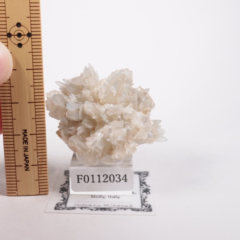 �����ꥢ�� ���쥹�ƥ���