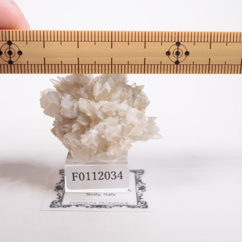 �����ꥢ�� ���쥹�ƥ���