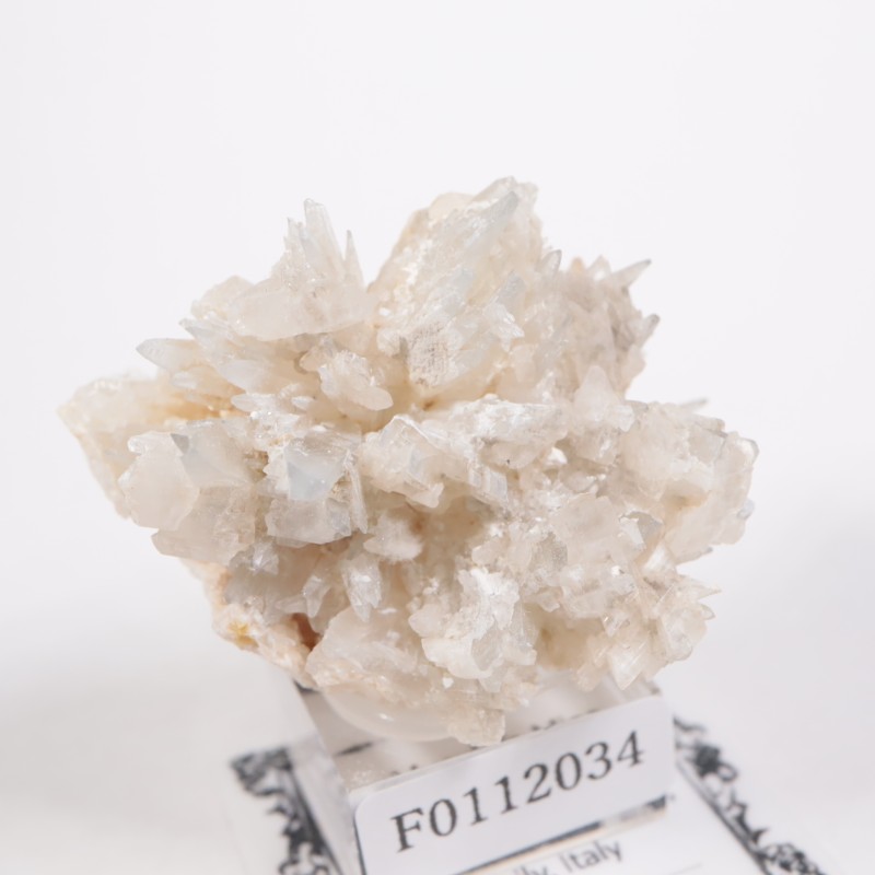 �����ꥢ�� ���쥹�ƥ���