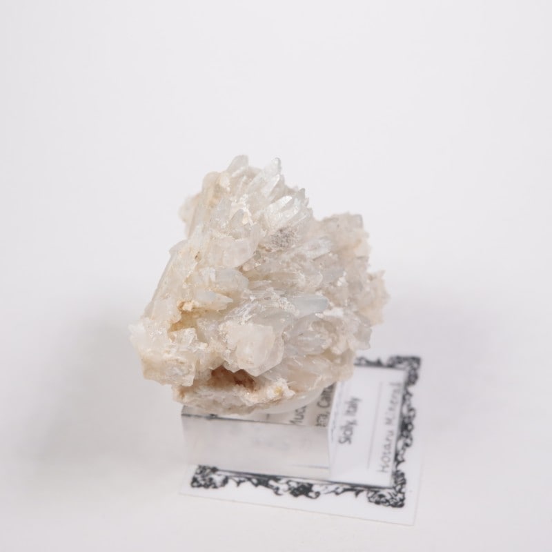 �����ꥢ�� ���쥹�ƥ���