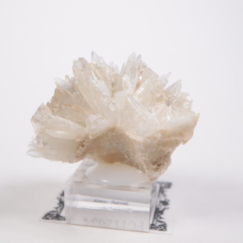 �����ꥢ�� ���쥹�ƥ���