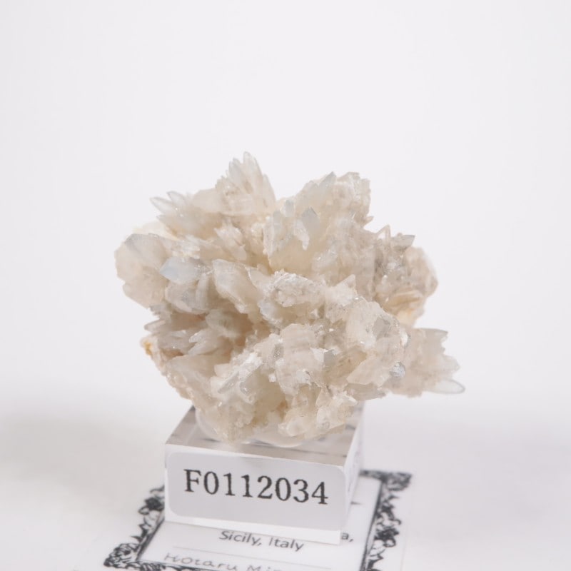 �����ꥢ�� ���쥹�ƥ���