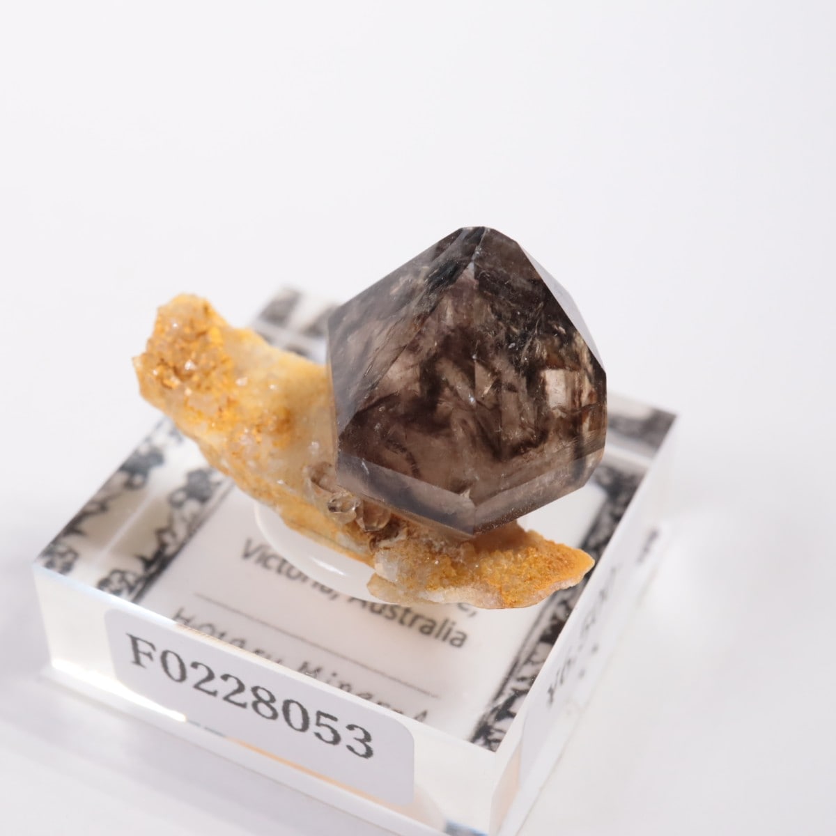 �������ȥ�ꥢ�� ����徽