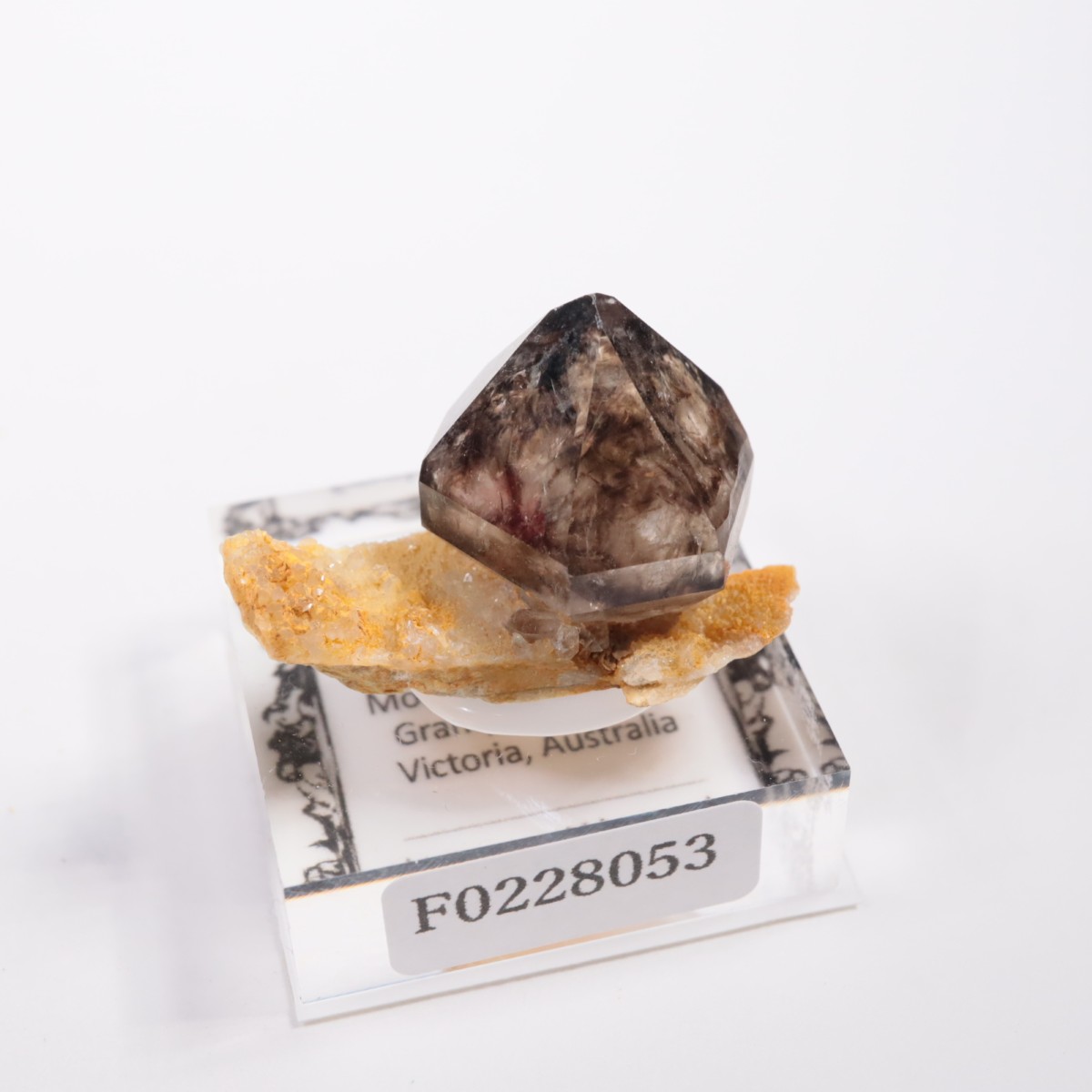 �������ȥ�ꥢ�� ����徽