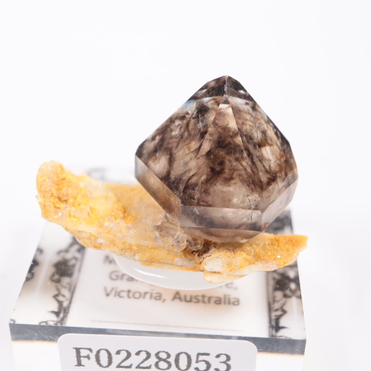 �������ȥ�ꥢ�� ����徽