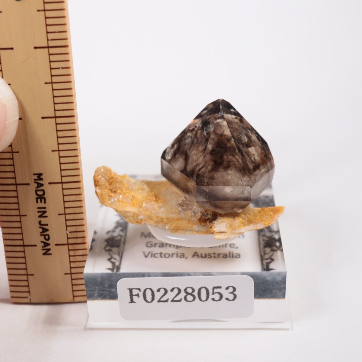 �������ȥ�ꥢ�� ����徽