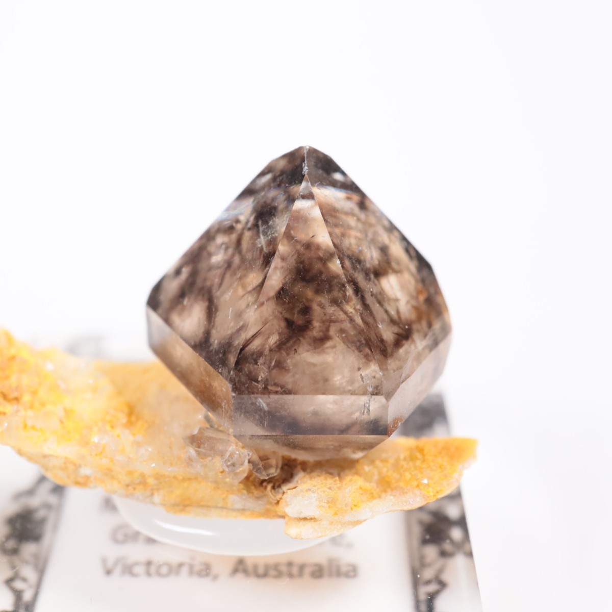 �������ȥ�ꥢ�� ����徽