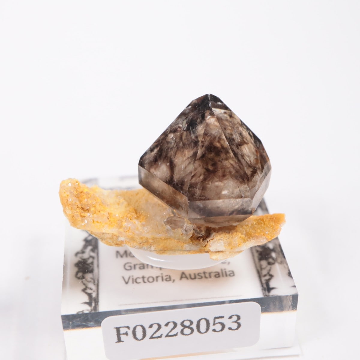 �������ȥ�ꥢ�� ����徽