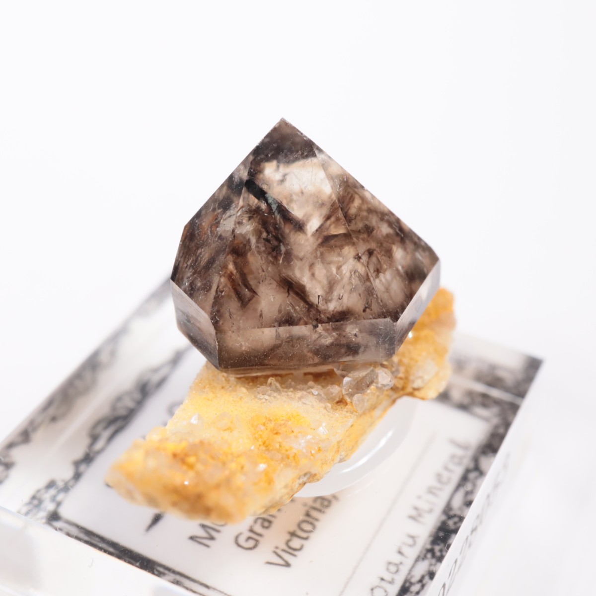 �������ȥ�ꥢ�� ����徽