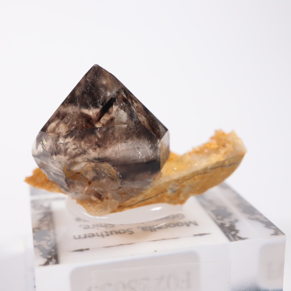 �������ȥ�ꥢ�� ����徽