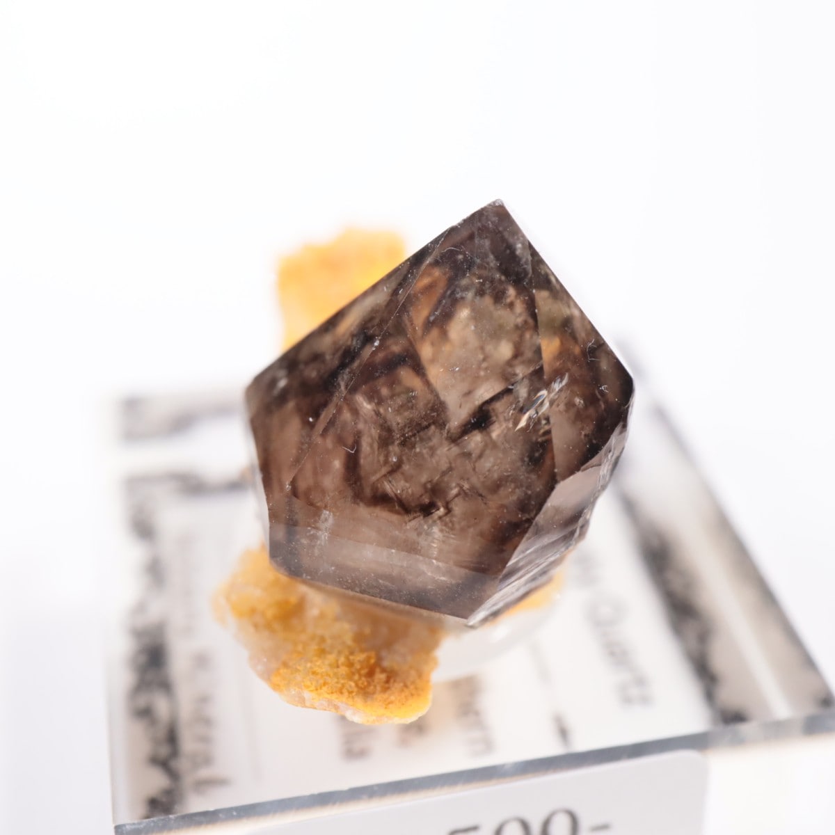 �������ȥ�ꥢ�� ����徽