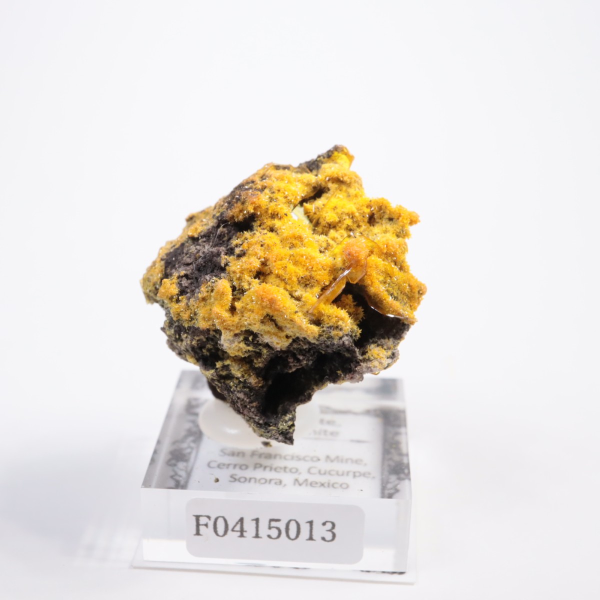 San Francisco�ۻ� �ߥ�å����ȡ�����ե��ʥ���