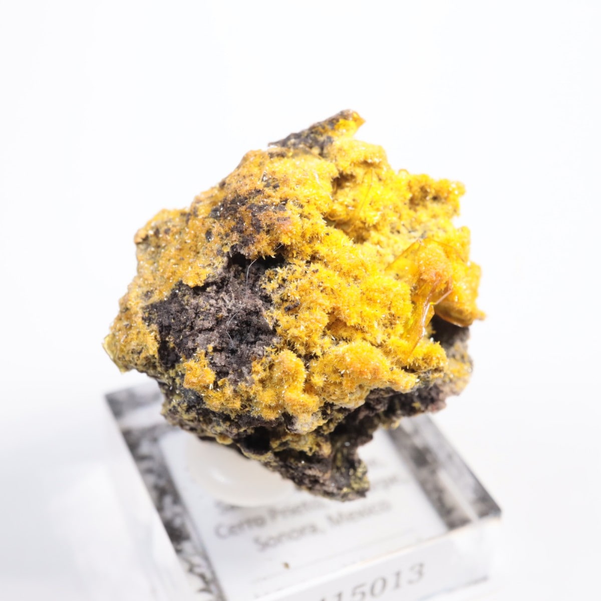 San Francisco�ۻ� �ߥ�å����ȡ�����ե��ʥ���