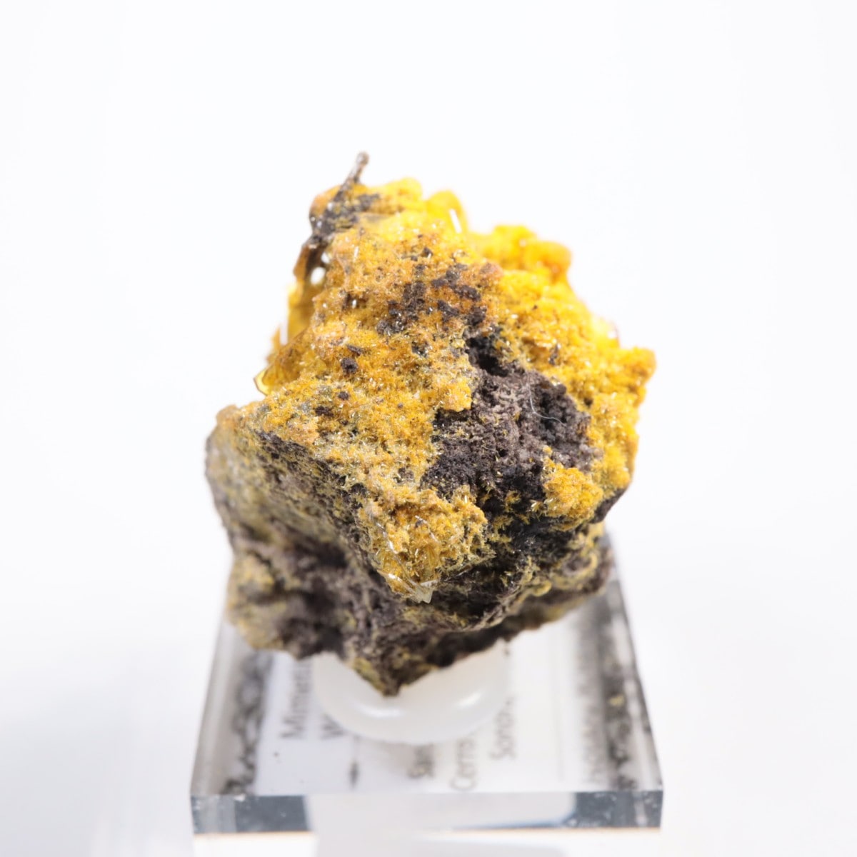 San Francisco�ۻ� �ߥ�å����ȡ�����ե��ʥ���