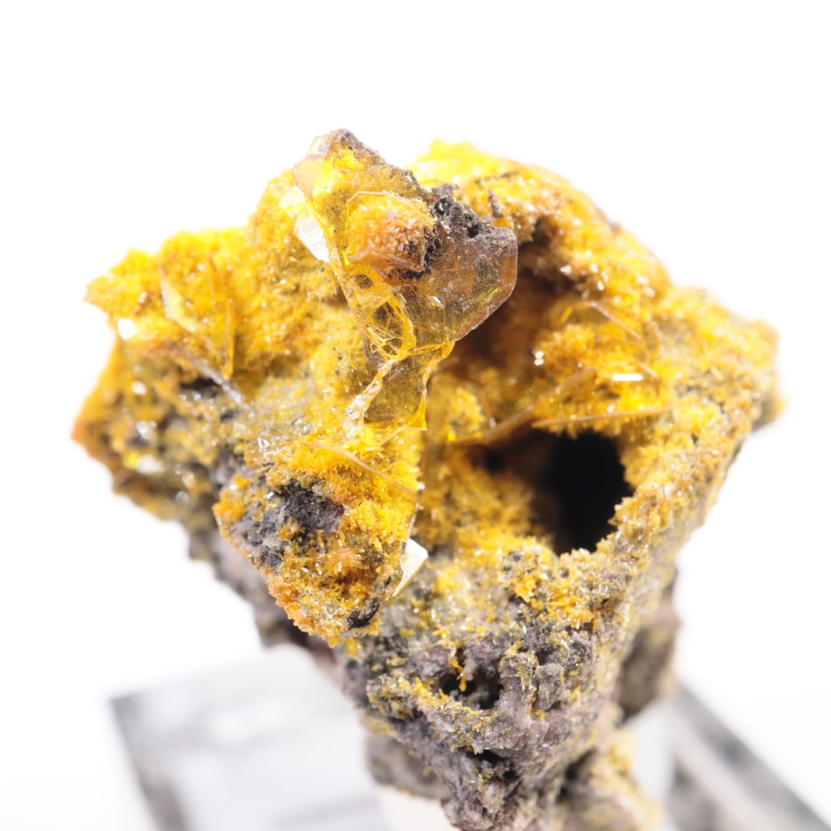 San Francisco�ۻ� �ߥ�å����ȡ�����ե��ʥ���