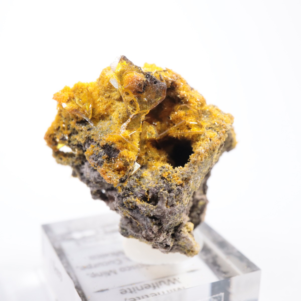 San Francisco�ۻ� �ߥ�å����ȡ�����ե��ʥ���