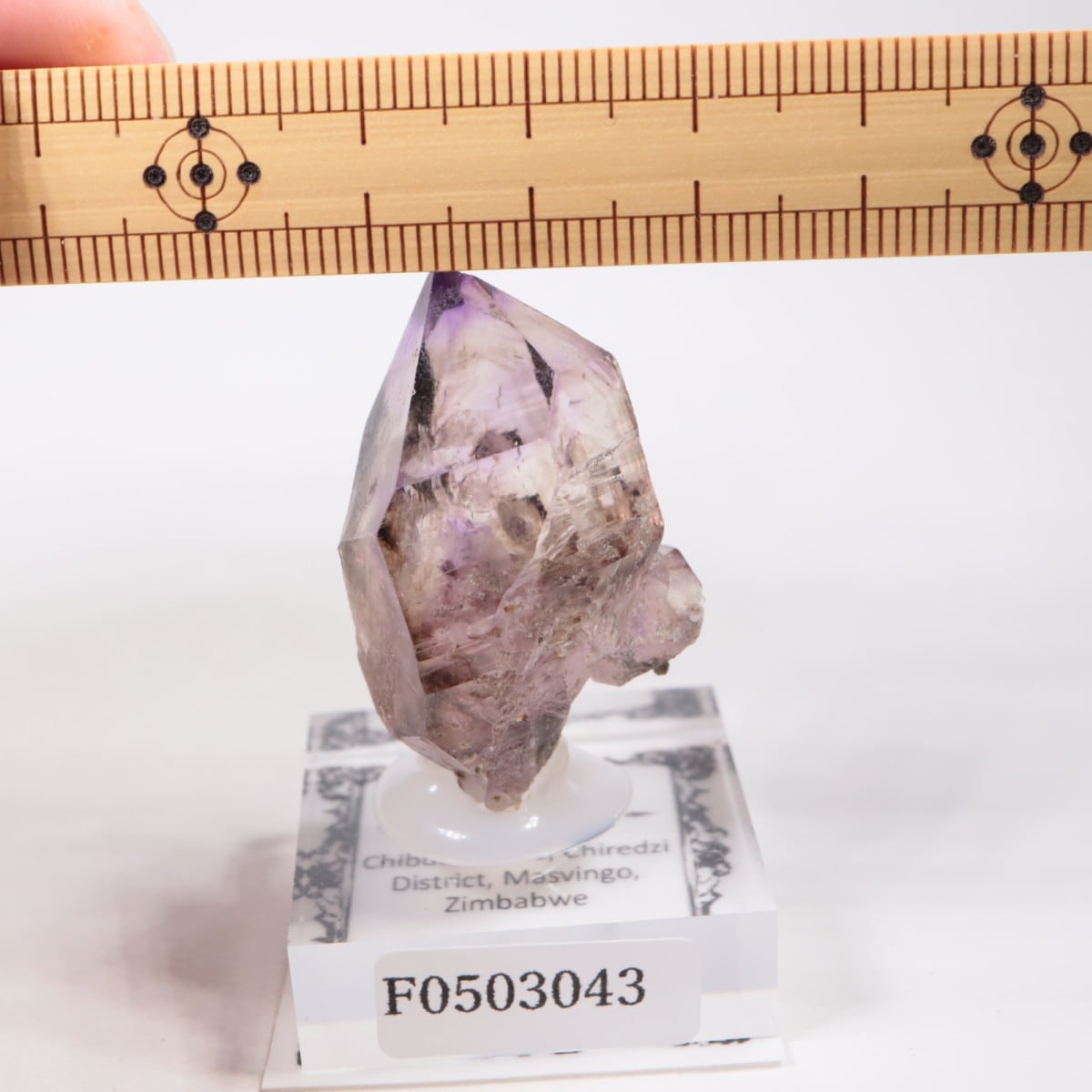 ����Х֥��� ���᥷����