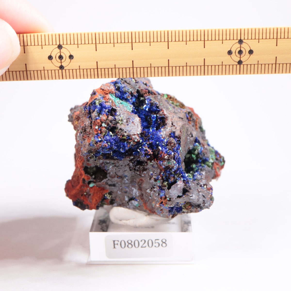 ���ꥷ�㻺 �����饤��