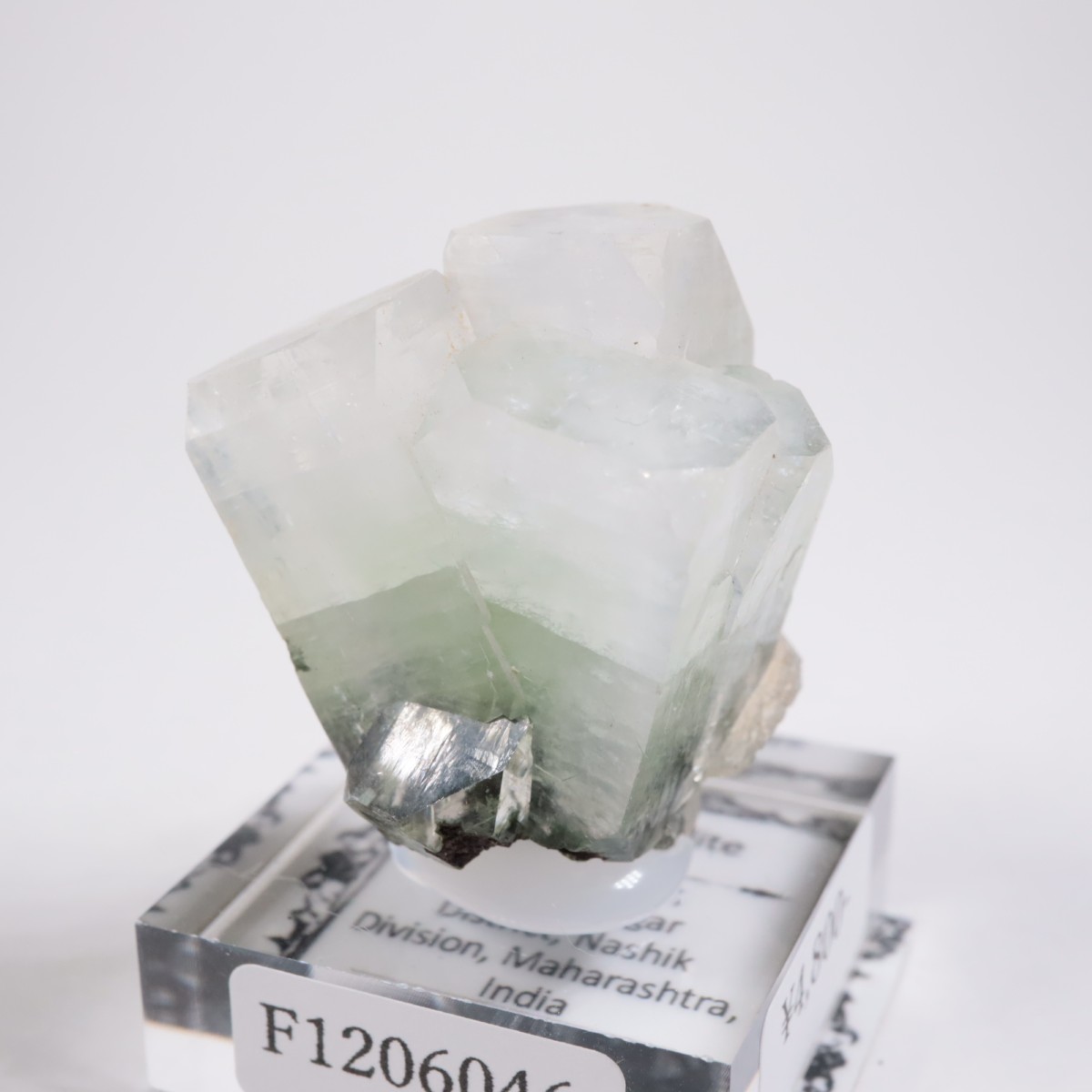 ����ɻ� ���ݥե��饤��