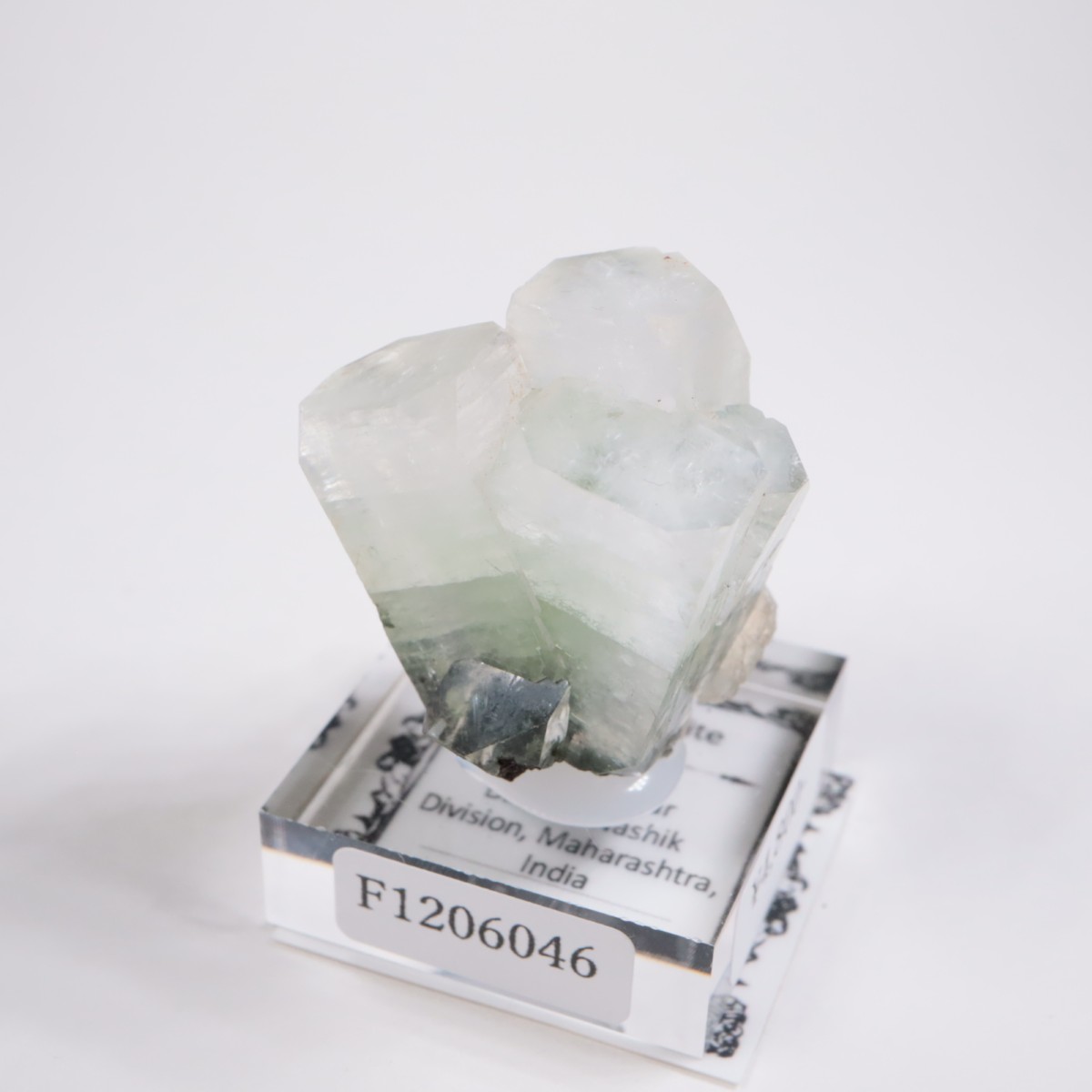 ����ɻ� ���ݥե��饤��