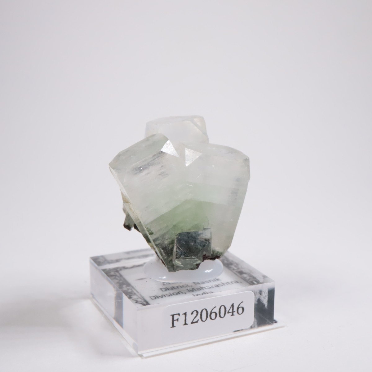 ����ɻ� ���ݥե��饤��