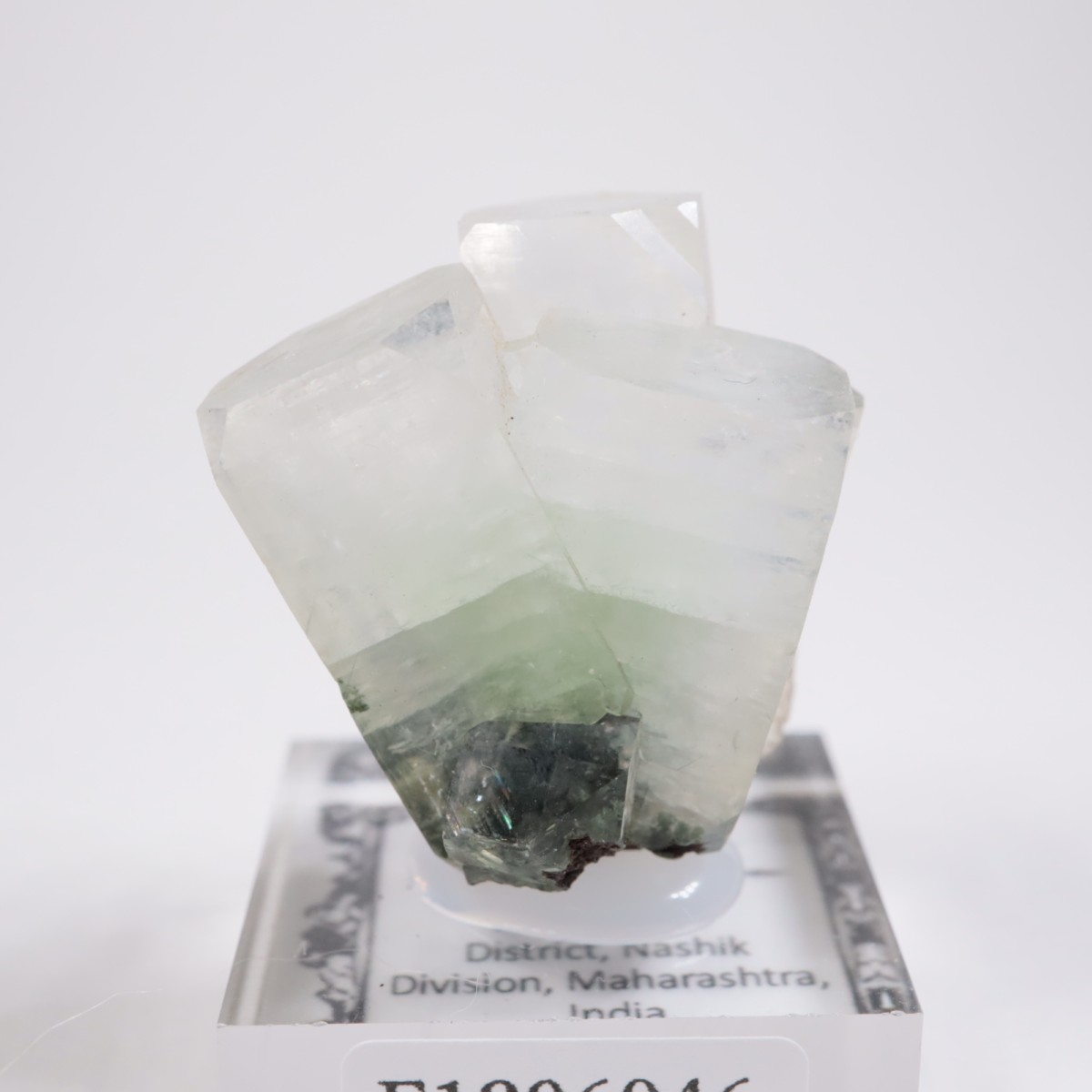 ����ɻ� ���ݥե��饤��