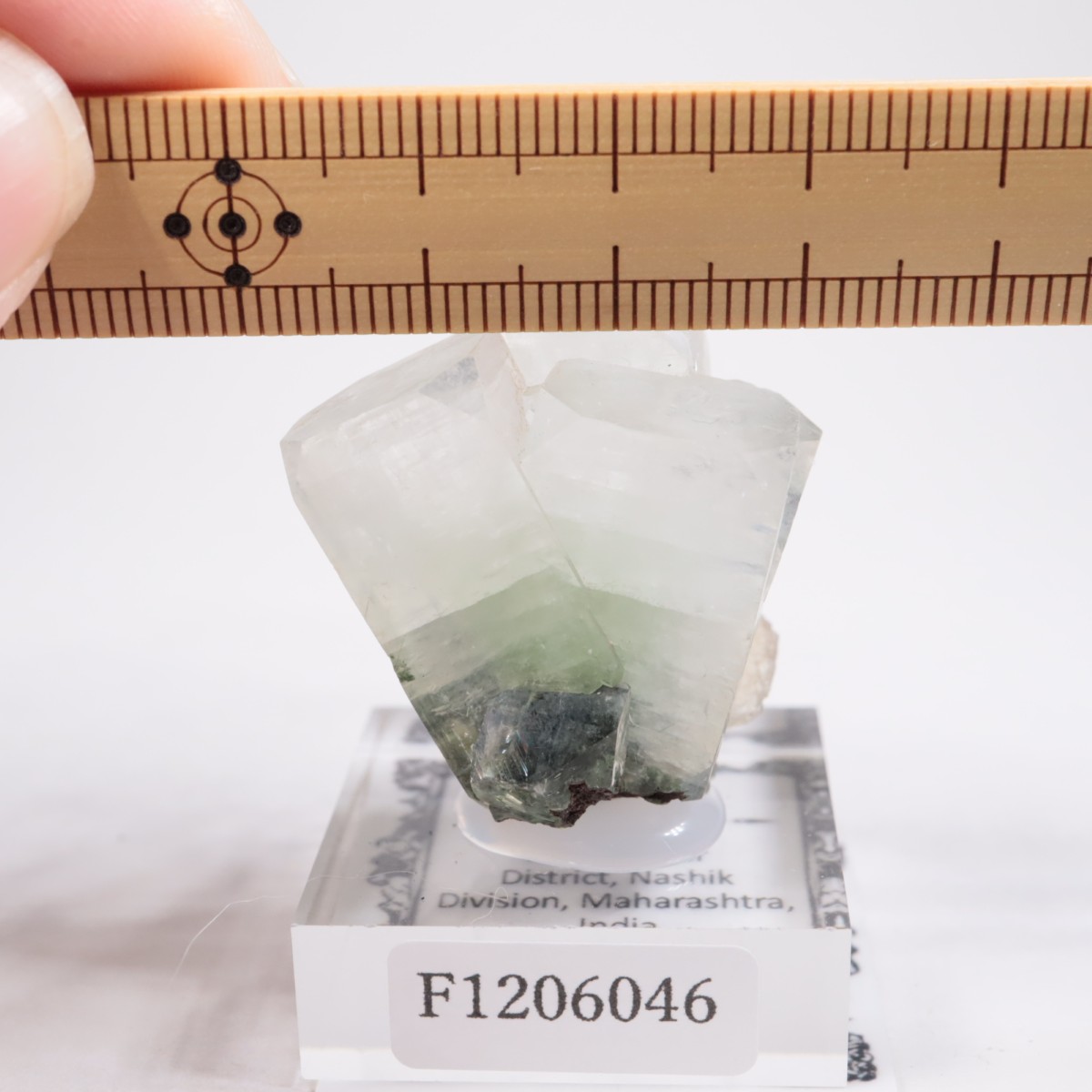 ����ɻ� ���ݥե��饤��