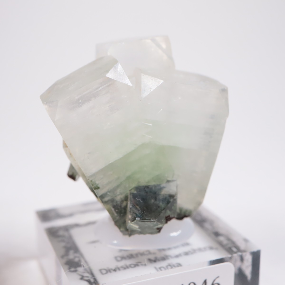 ����ɻ� ���ݥե��饤��