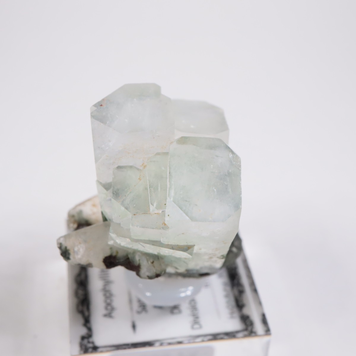 ����ɻ� ���ݥե��饤��